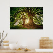 Poster Rafraîchir Nature Arbre Soleil Lumière Whimsical P (Cuisine)