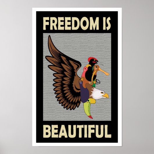 Poster Rafraîchissant oiseaux colorés volant (Devant)