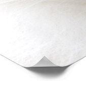 Poster Ragdoll (Coin)