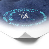 Poster Ragdoll Cat 9W082D-011 (Coin)