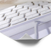 Poster Ragdoll cat sur le clavier de l'ordinateur (Coin)