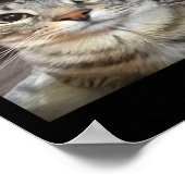 Poster Rage Me Consume Silly Staring Cat Meme (Coin)