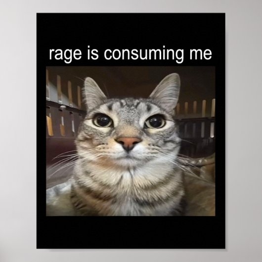 Poster Rage Me Consume Silly Staring Cat Meme (Devant)