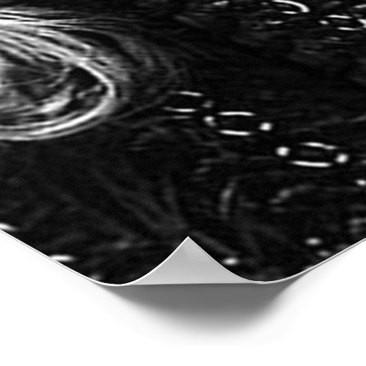 Poster Ragnar Lothbrok (Coin)