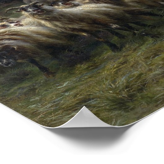 Poster Raid Rosa Bonheur Highland (Coin)