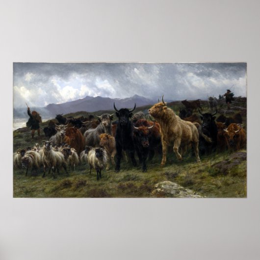 Poster Raid Rosa Bonheur Highland (Devant)