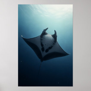 Poster Raie Manta Glissant à Travers l'Océan Bleu Profond