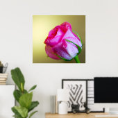 Poster Rain Drop Kisses of Nature on Pink Rose (Bureau à domicile)