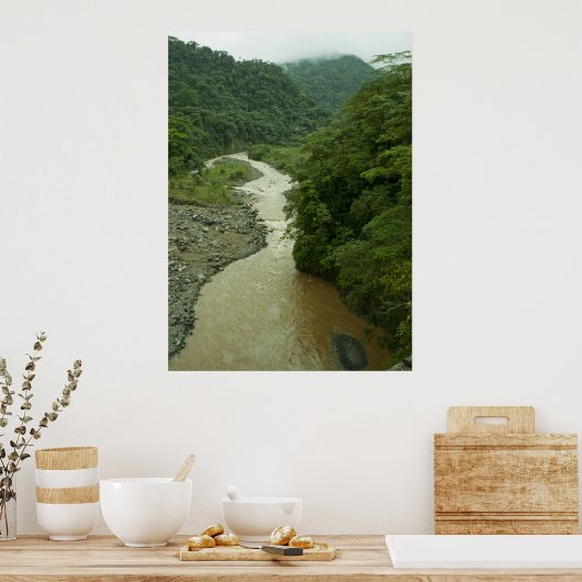 Poster Rain Forest (Cuisine)