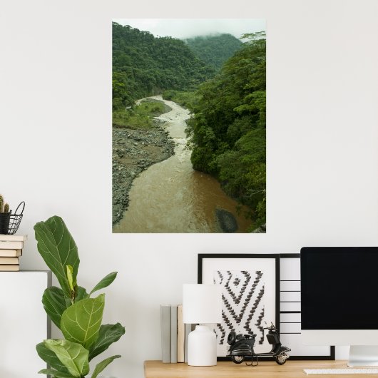 Poster Rain Forest (Bureau à domicile)