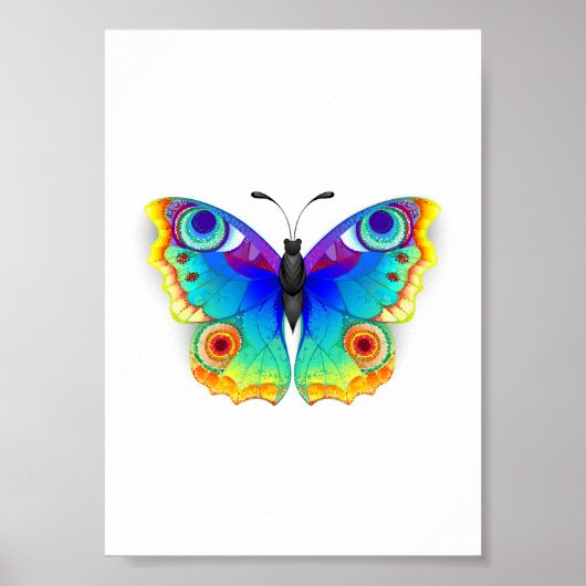 Poster Rainbow Butterfly Peacock Eye (Devant)