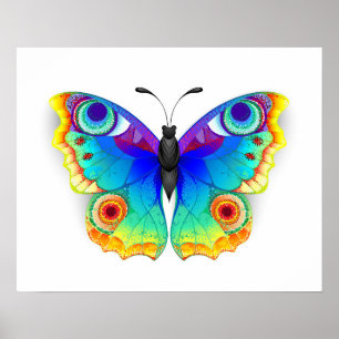 Poster Rainbow Butterfly Peacock Eye