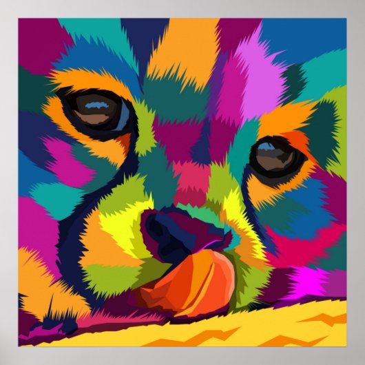 Poster Rainbow Cheetah (Devant)