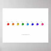 Poster Rainbow Cherries (Devant)