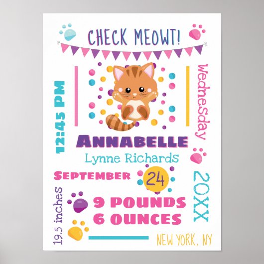 Poster Rainbow Confetti Cute Kitty Chat Baby Statistiques (Devant)
