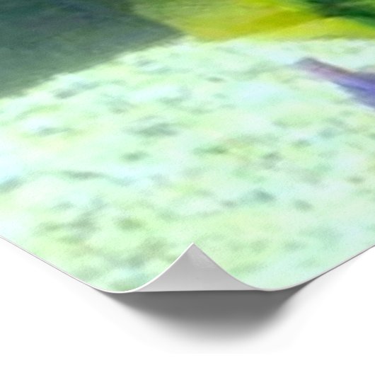 Poster Rainbow Fish (Coin)