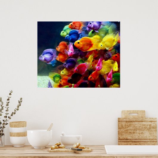 Poster Rainbow Fish (Cuisine)