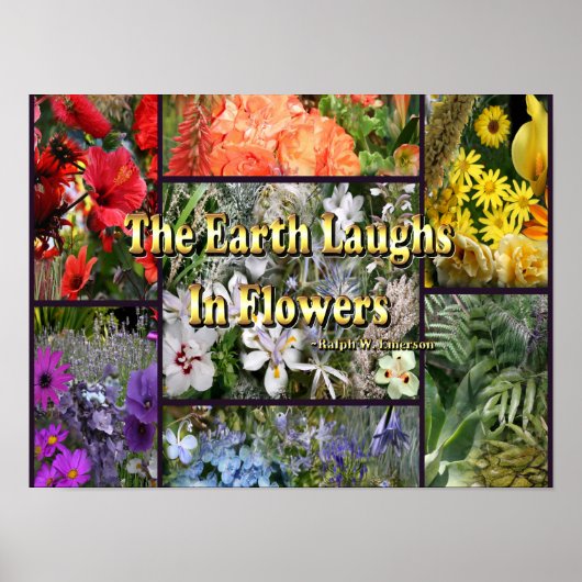 Poster Rainbow Flowers - Earth Laughn par Emerson (Devant)
