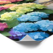 Poster Rainbow Hydrangea Garden Path (Coin)