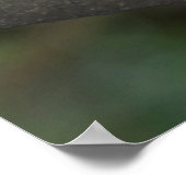 Poster Rainbow Lorikeet Portrait (Coin)