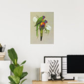 Poster Rainbow Lorikeet - Trichoglossus haematodus (Bureau à domicile)