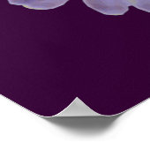 Poster Rainbow Marigold (Coin)