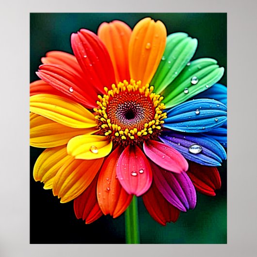 Poster Rainbow Petal Flower Art (Devant)