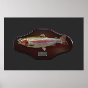 Poster Rainbow Trout Display Plaque