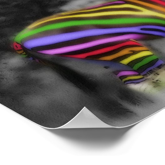 Poster Rainbow Zebra (Coin)