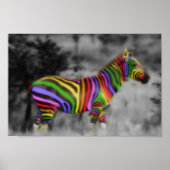 Poster Rainbow Zebra (Devant)
