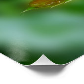 Poster Raindrops (Coin)