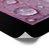 Poster Raindrops (Coin)