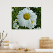 Poster Raindrops sur Daisy I Floral Fleur sauvage (Cuisine)