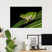 Poster Rainette verte (Hyla cinerea) 2 (Bureau à domicile)