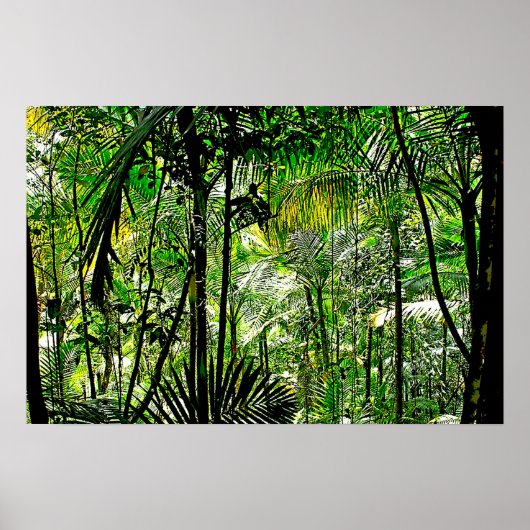 Poster Rainforest (Devant)