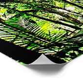 Poster Rainforest (Coin)