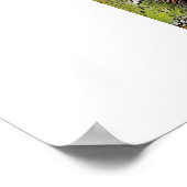 Poster Rainforest Bamboo Au Costa Rica (Coin)