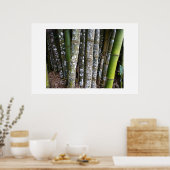 Poster Rainforest Bamboo Au Costa Rica (Cuisine)