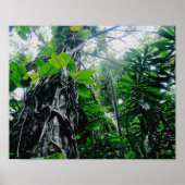 Poster Rainforest in Paradise Print (Devant)