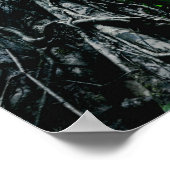 Poster Rainforest in Paradise Print (Coin)