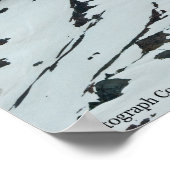 Poster Rainier P7108 (Coin)