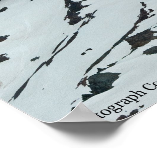 Poster Rainier P7108 (Coin)