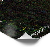 Poster Rainier P7350 (Coin)
