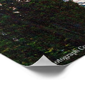 Poster Rainier P7350 (Coin)