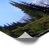 Poster Rainier PDSC213 (Coin)