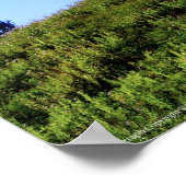 Poster Rainier PDSC230 (Coin)