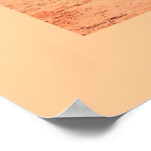 Poster Rainwash Trail (Coin)