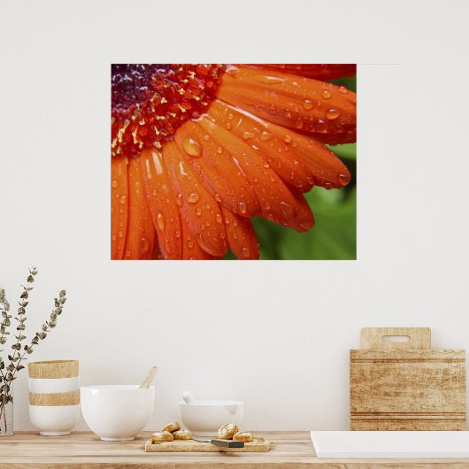 Poster Rainy Daisy (Cuisine)