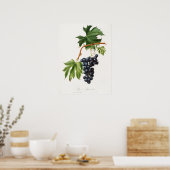 Poster raisin Brachetto par Giorgio Gallesio (Cuisine)