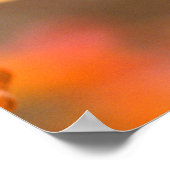 Poster Raisin Ripe En Vignoble (Coin)